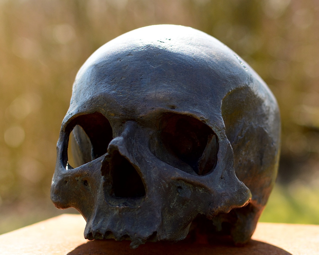Challenges and Feasibility of Immortality - A Philosophical Analysis